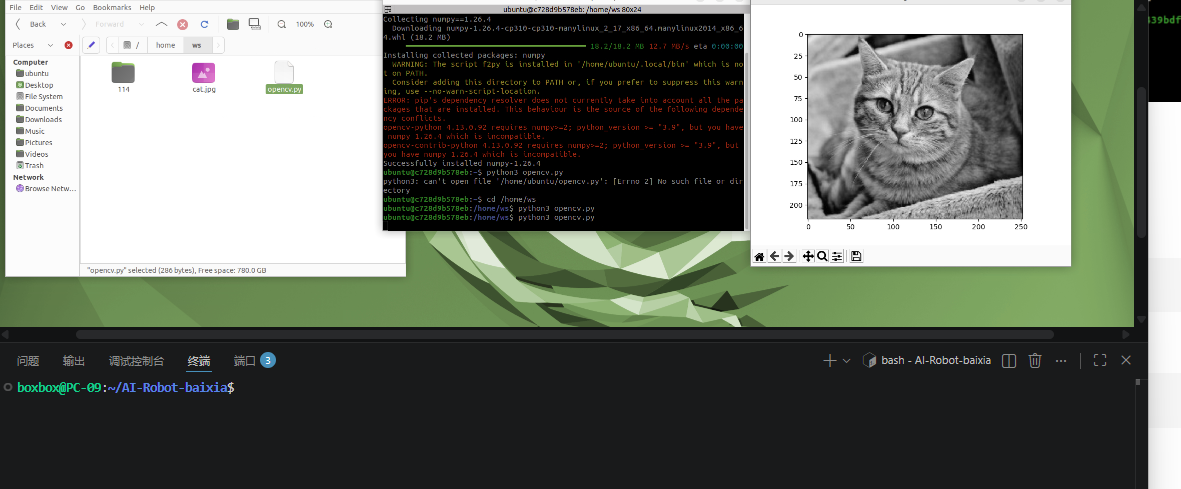 OpenCV result